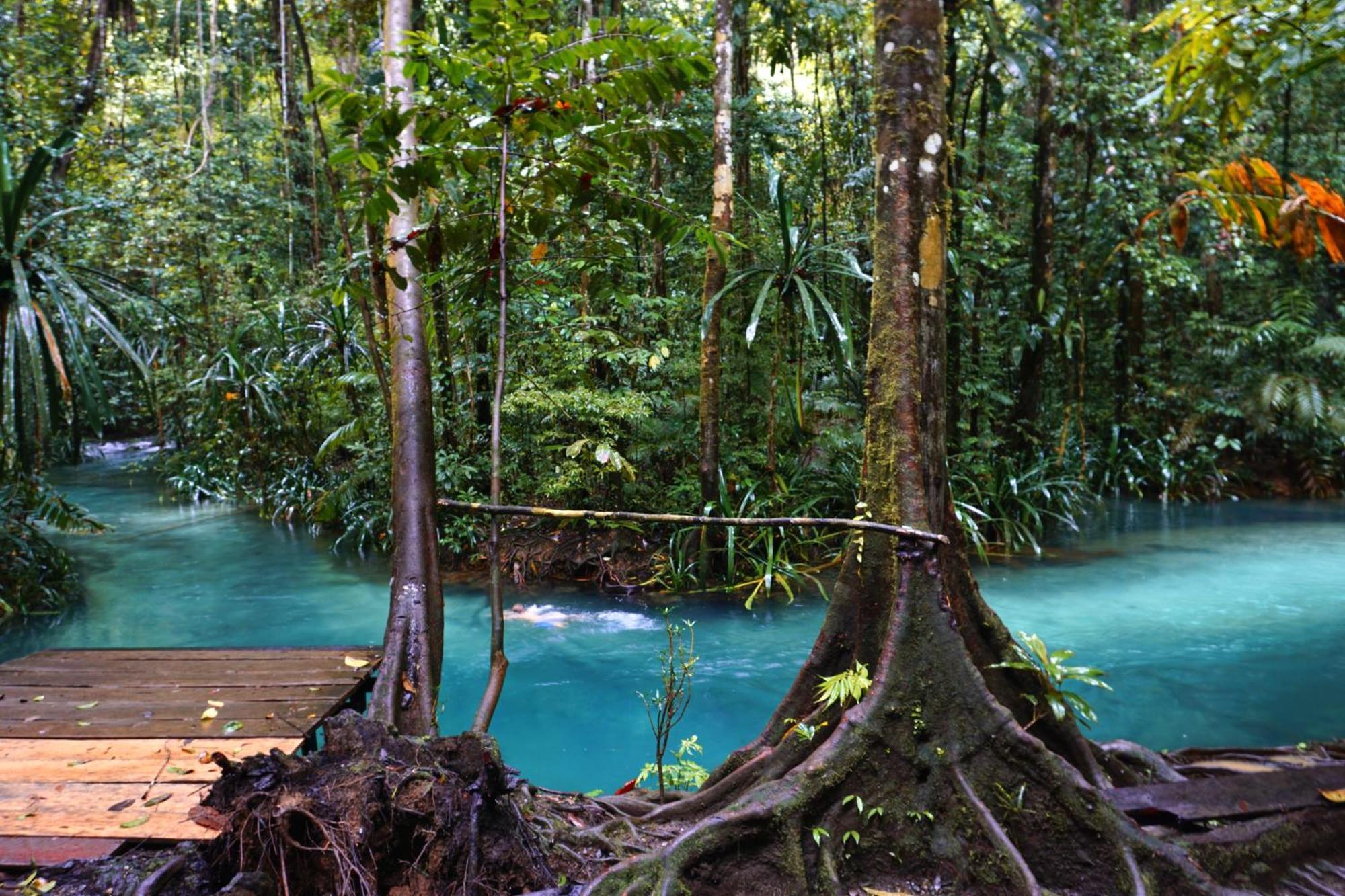 Raja Ampat Dive Lodge Pulau Mansuar Exterior photo